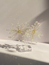 Clear Star Burst Earrings