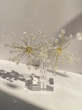 Clear Star Burst Earrings