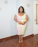 Plus size two tone zip front dress with gold accessories