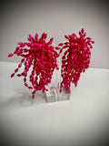 Firecracker Earrings