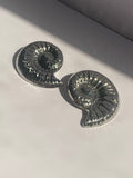 Shell Swirls