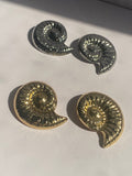 Shell Swirls