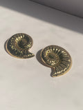 Shell Swirls